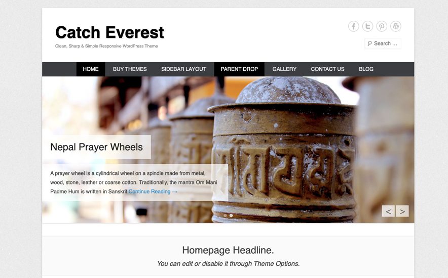 Catch Everest Theme -40+ Best Free Business WordPress Themes for 2020