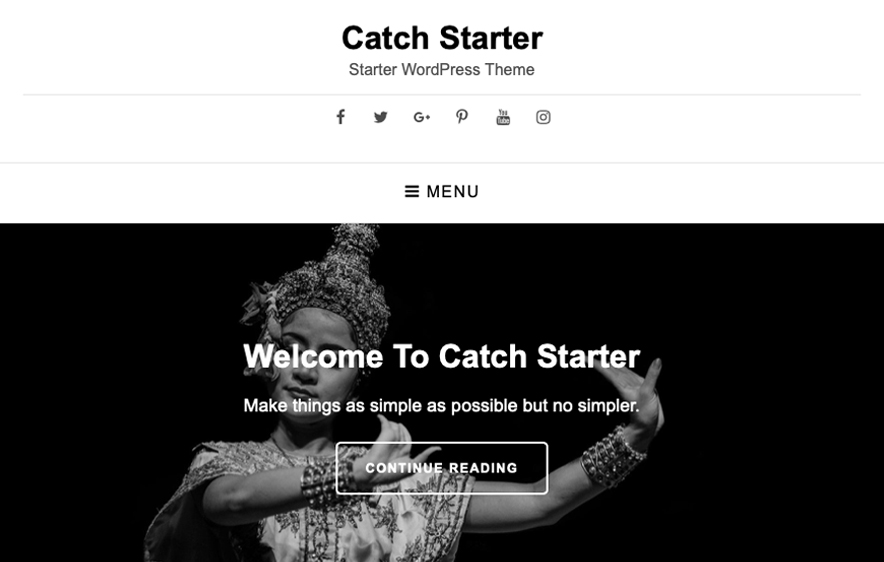 Catch Starter Theme - 40+ Best Free Business WordPress Themes for 2020