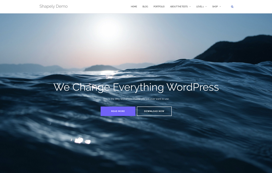 Shapely Free WordPress Theme