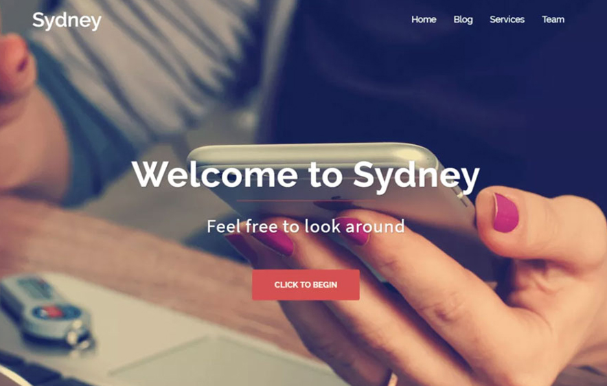 Sydney theme -40+ Best Free Business WordPress Themes for 2020